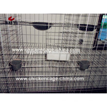 Cage d&#39;élevage de pigeon d&#39;usine de vente chaude